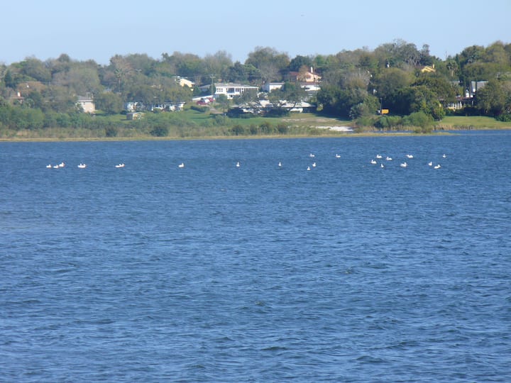 Babson Park Alquileres vacacionales y alojamientos Florida, Estados