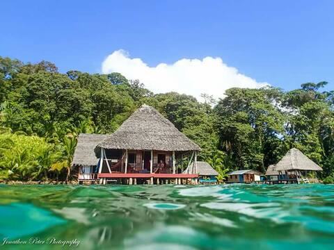 Snorkel Where You Sleep. Bungalow Over The Water