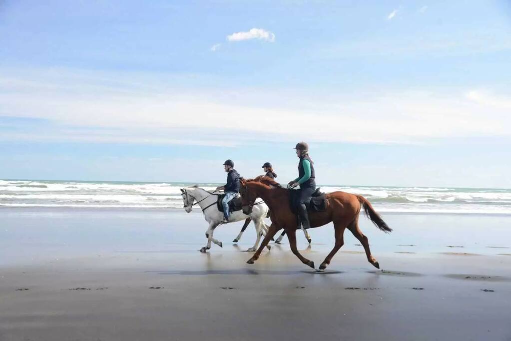 Horse Riding at Muriwai Beach
