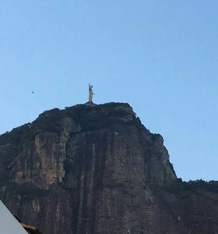 Cobertura Jardim Botânico gallery image 4