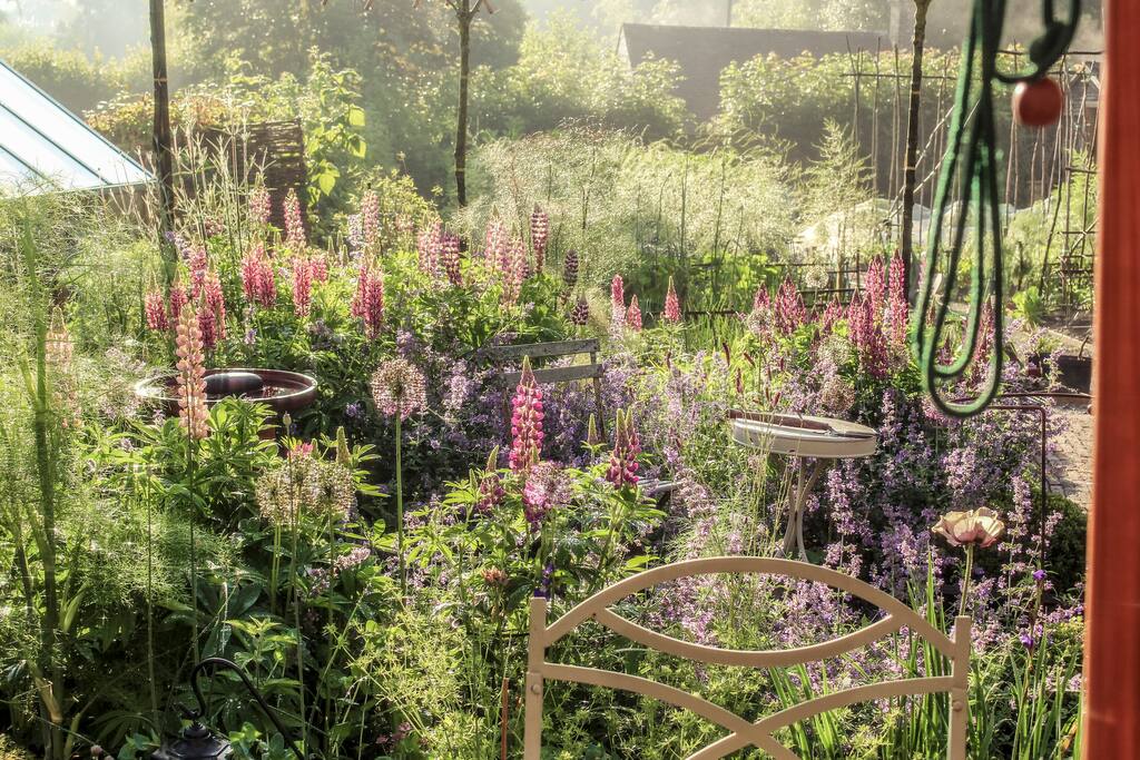 The flowers and bees in the early morning are a delight for the senses, we have 5 hives in the 1 acre Garden.