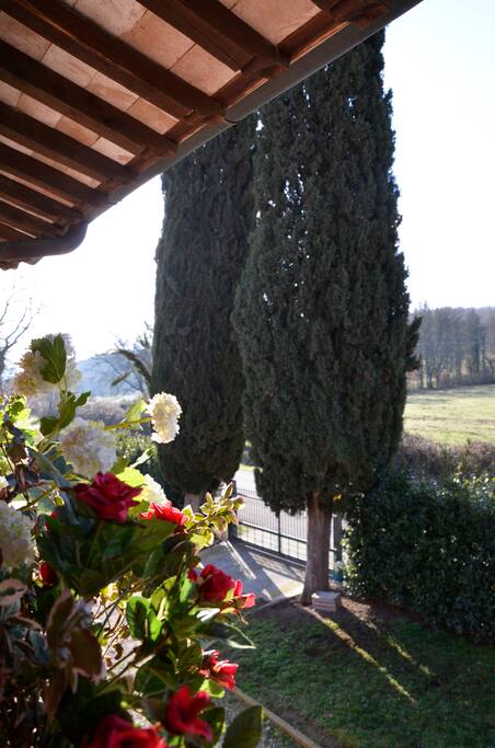 Il casale view from the terrace