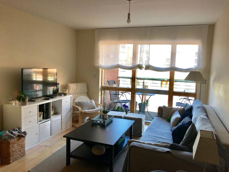 Living room and terrace