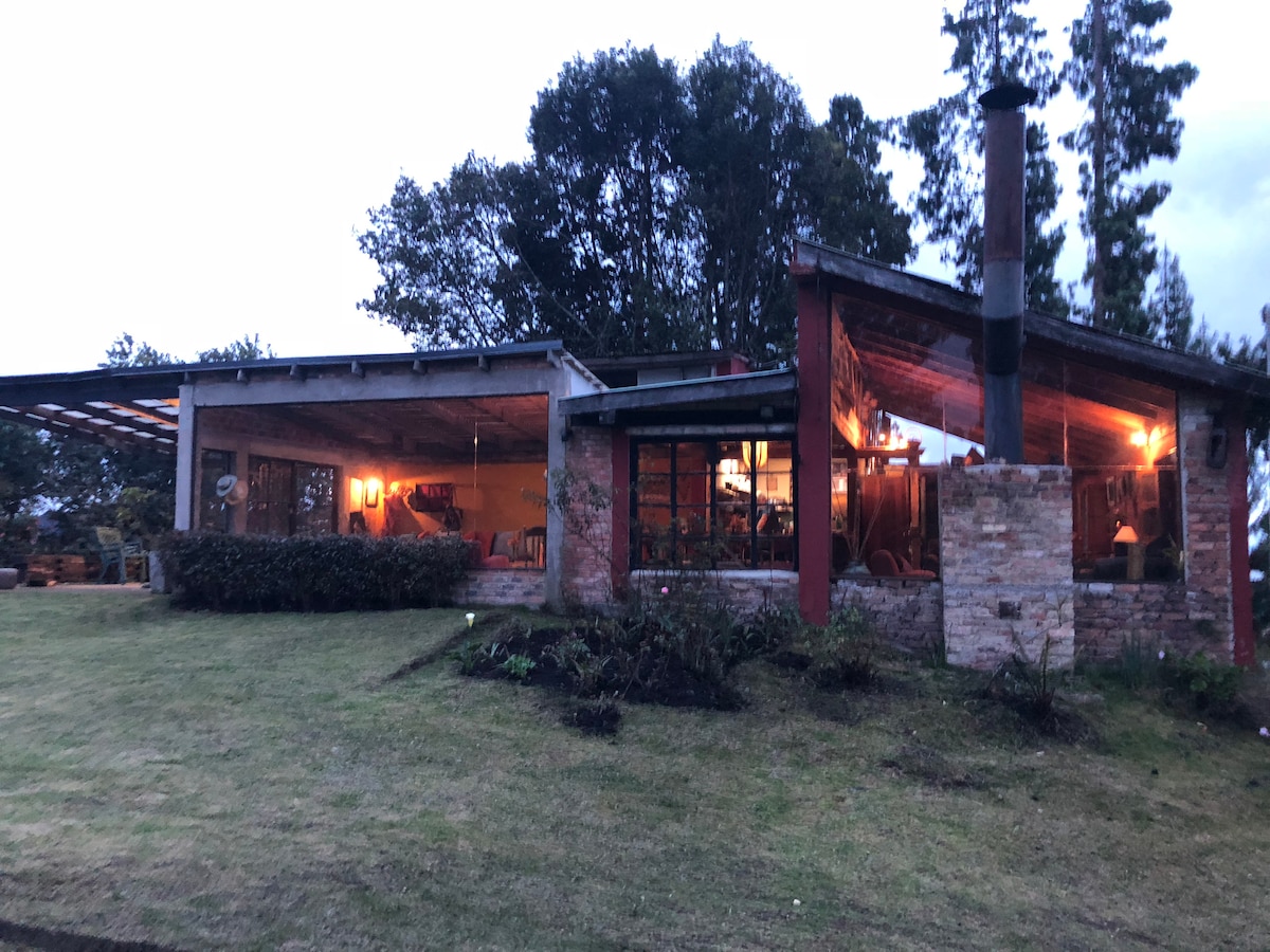 A rustic house is set against a backdrop of lush greenery, featuring large windows that allow natural light to illuminate the interior. The exterior showcases a combination of stone and wood elements, with a chimney visible, indicating a cozy atmosphere. Soft lighting enhances the inviting appearance during dusk.