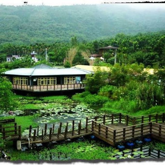 生態池上面的餐廳