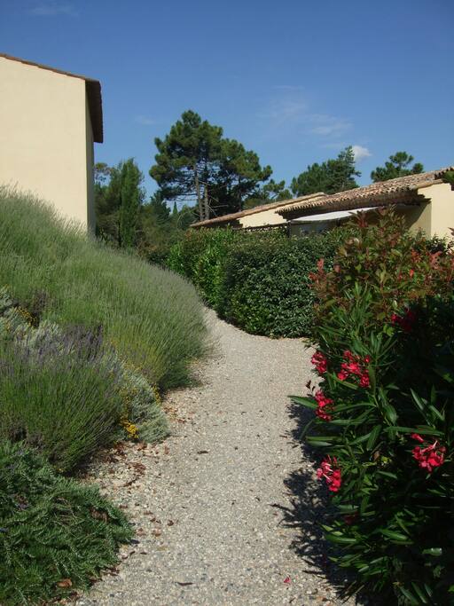 jardin
