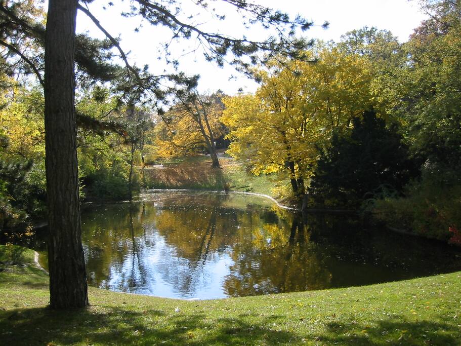 Türkenschanzpark (10 minutes by walk)