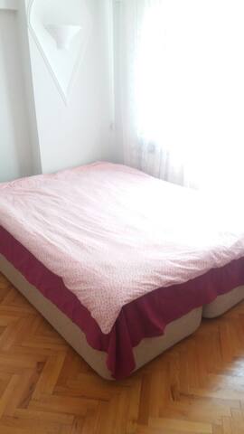 Maltese Terrier Cinsi Sevimli Yavrumuz Milly Youtube