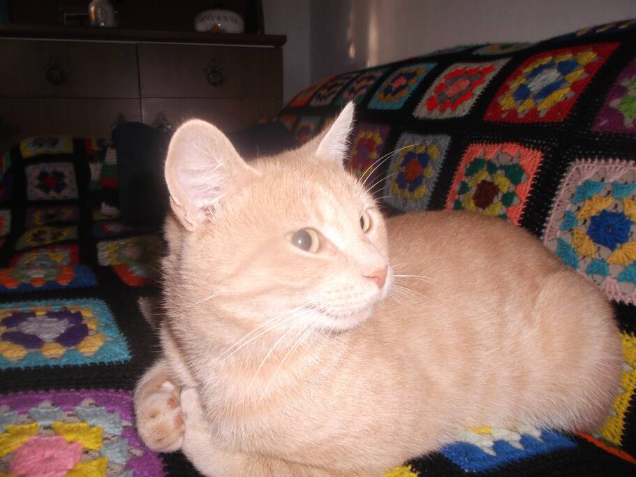 Pippi