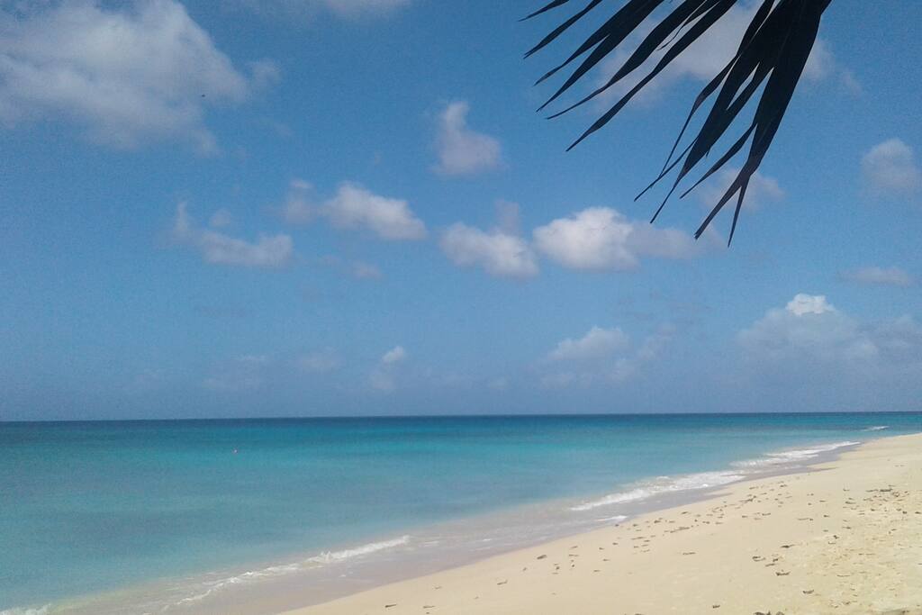 Pristine beach