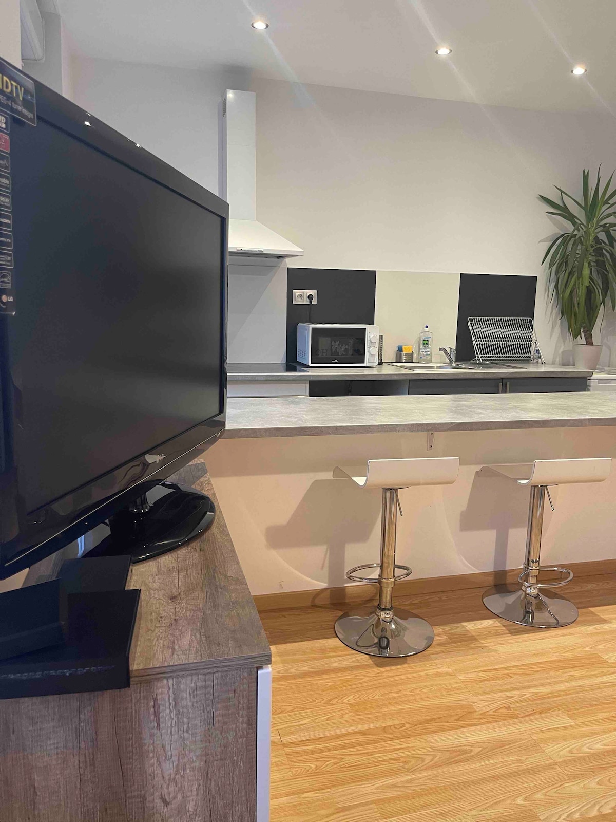 A modern kitchen area features a sleek countertop with a microwave and a drying rack. Two contemporary bar stools are positioned at the counter, complemented by a large flat-screen TV situated on a wooden stand. A tall indoor plant adds a touch of greenery.
