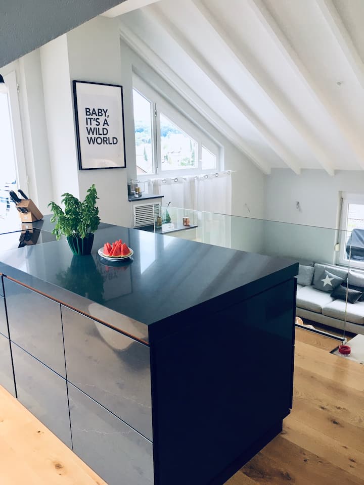 Maisonette Loft With Breathtaking View - Stuttgart Central Station