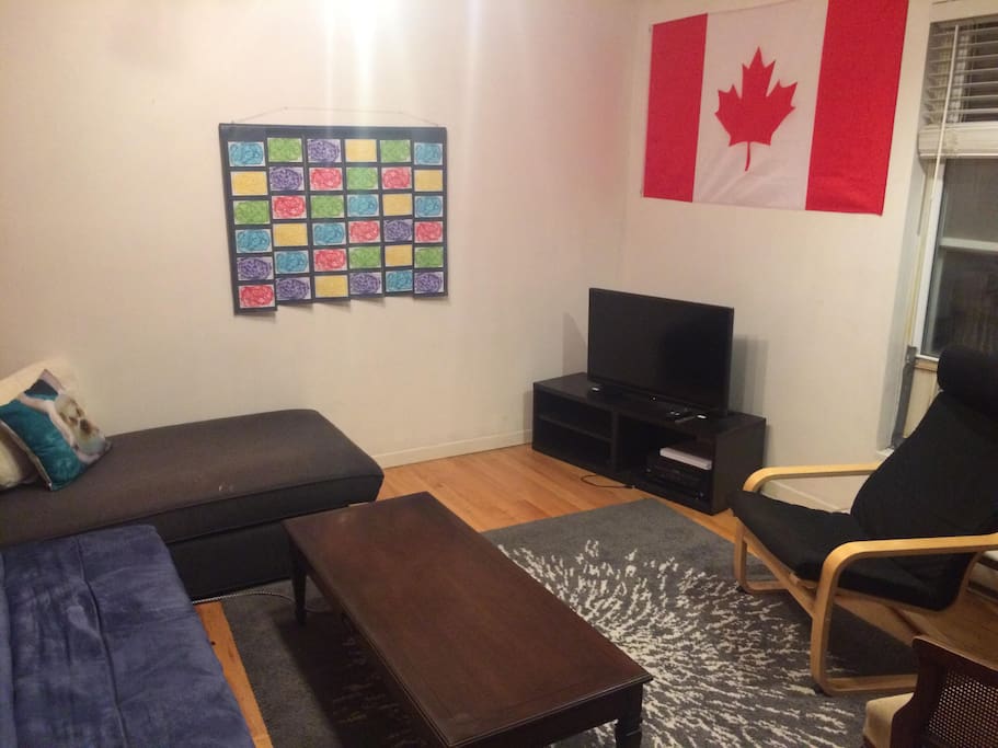 Living room shared with other guests. Couch will become additional bed.