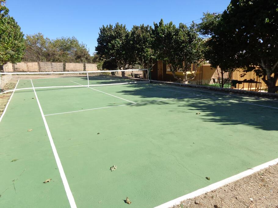 Cancha tamaño reglamentario con raquetas y pelotas. La red se puede sacar para contar con una multicancha.