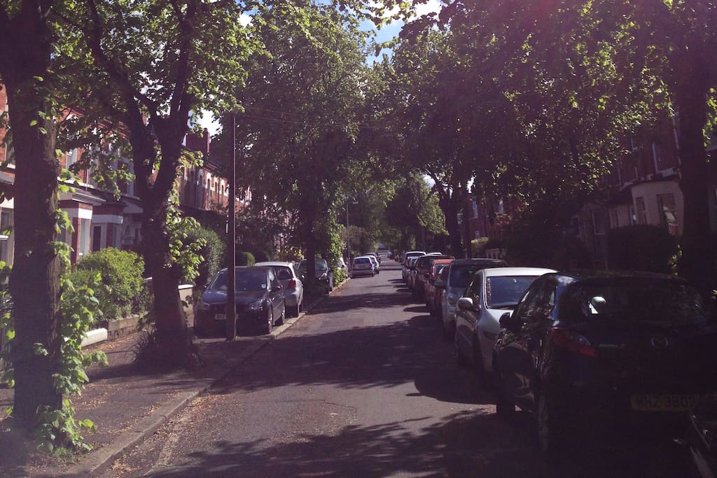 Rooms To Rent Ormeau Road Rooms To Rent Ormeau Road