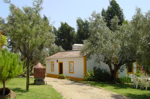 Rustic house in a portuguese farm