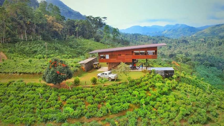 Nest Wood Bungalow -Sinharaja, Kalawana