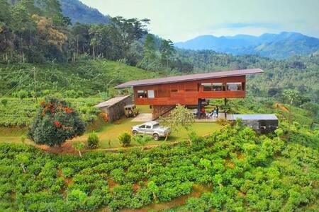 Nest Wood Bungalow -Sinharaja, Kalawana