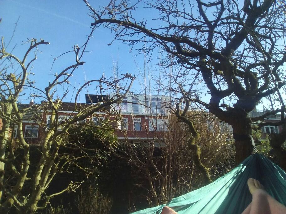 Hammocking in the garden early spring