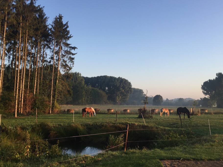 Aussicht