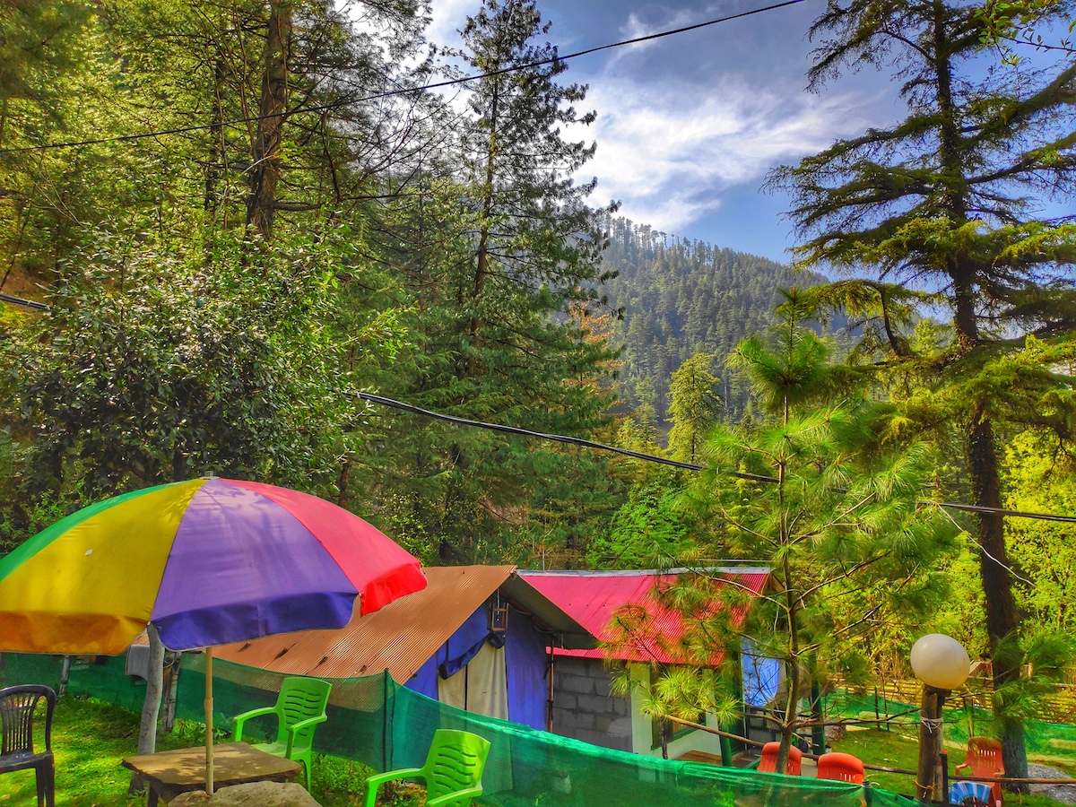 Colorful umbrellas provide shade over a seating area surrounded by lush greenery. Tents with various vibrant roofs are nestled among tall trees, creating a serene atmosphere. The backdrop features pine-covered hills under a clear blue sky, enhancing the natural setting.