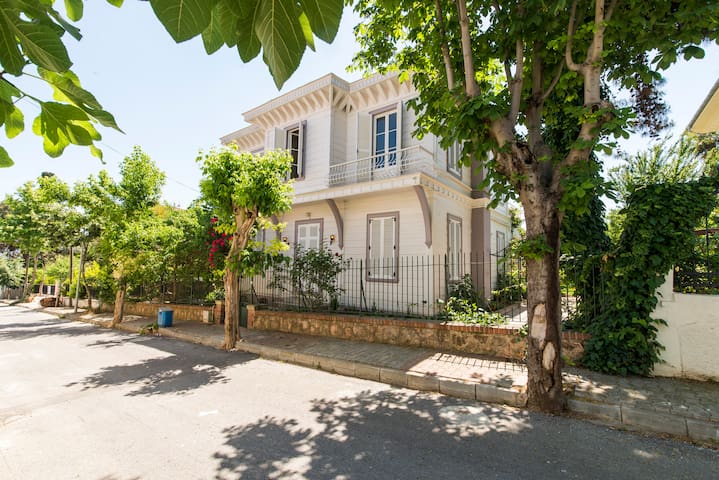 A Unique Experience at Buyukada