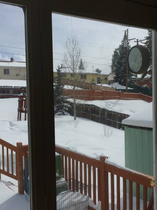 BIG Back yard!