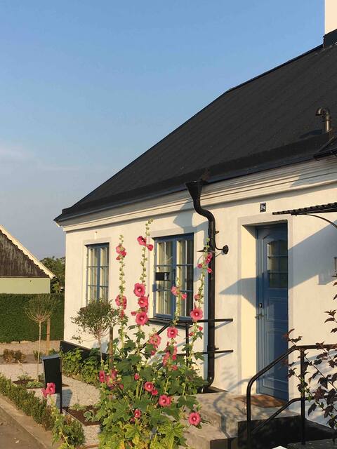 Beautiful cottage in the heart of Brantevik