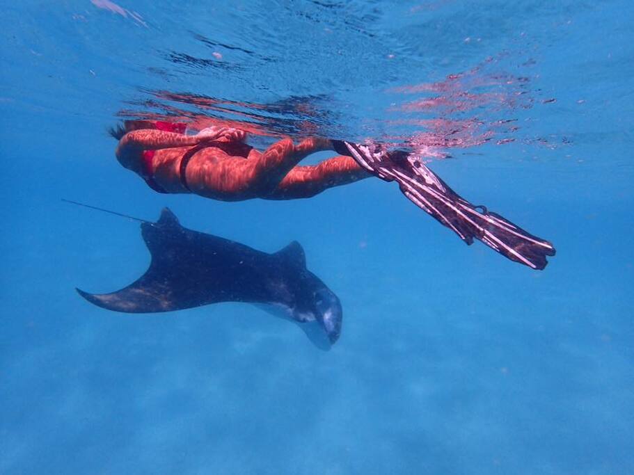 excursions to reefs
