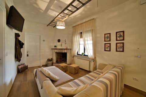 Herba Salvia
Holiday House