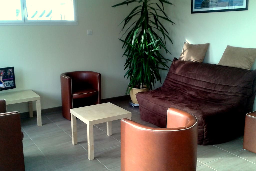 un salon lumineux et confortable avec un canapé BZ (couchage pour 2 personnes)