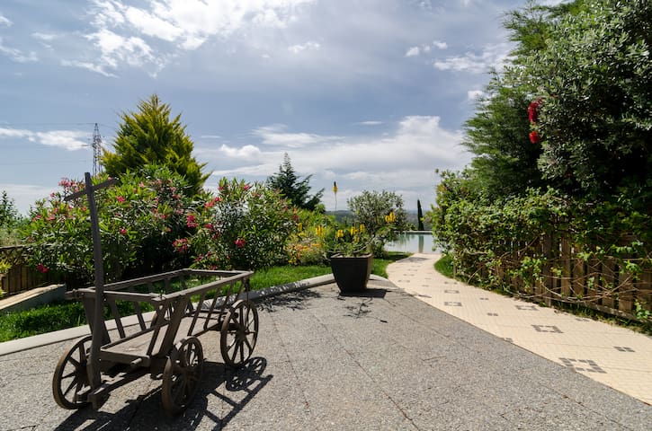 Alentejo Coast - CASA PEIXE - Wheelchair friendly