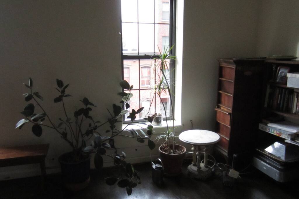 Plants and natural light abound making this a beautiful space to wake up in!