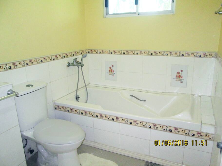 Bedroom 1 - Toilet & Bath