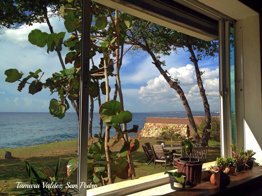 Jardin desde el comedor