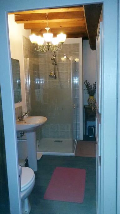 shower room 1