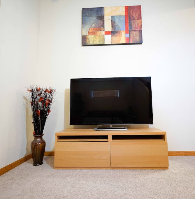 47 inch LED TV with Netflix and YouTube