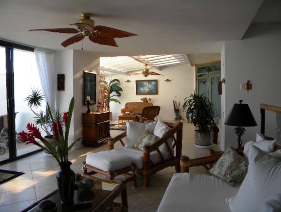 Spectacular first class furnishings!