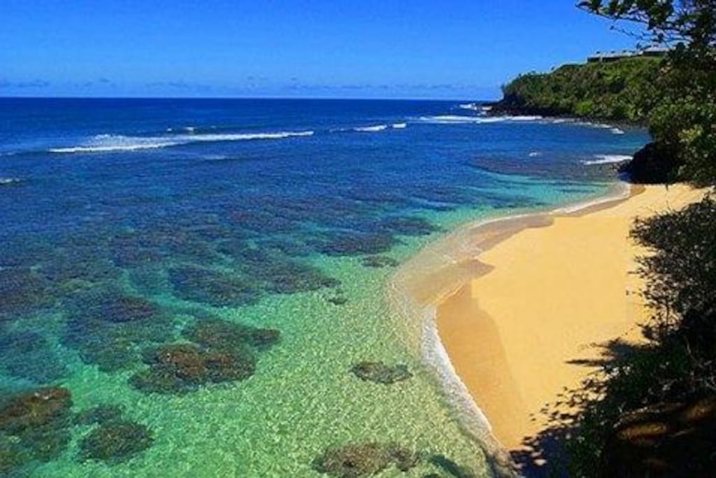 Best snorkeling on Kauai directly below the unit!