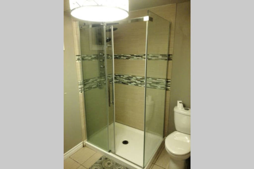 basement washroom with fancy shower with bodyjets