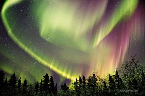 Alaska Range and Northern Lights View