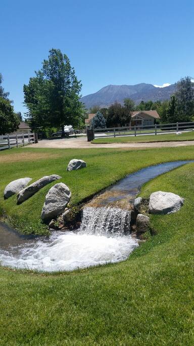 Front Yard