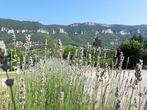 Eco-lodge – Tarn Valley (sleeps 12)