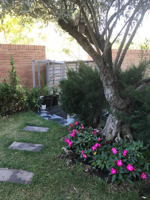 El jardín de la parte delantera