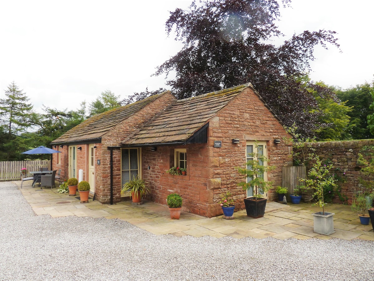 dog friendly log cabins lake district