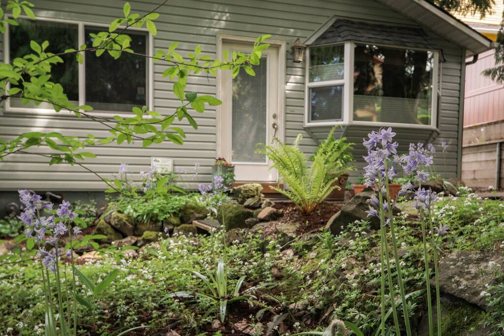 Front yard in spring bloom