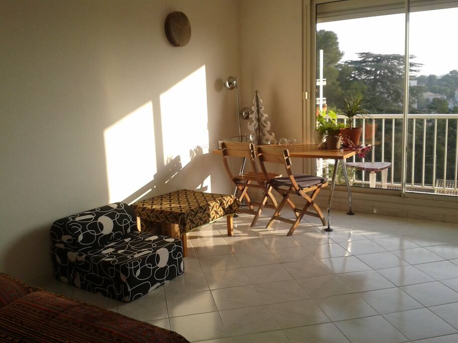 le salon