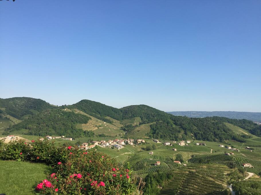 Dintorni