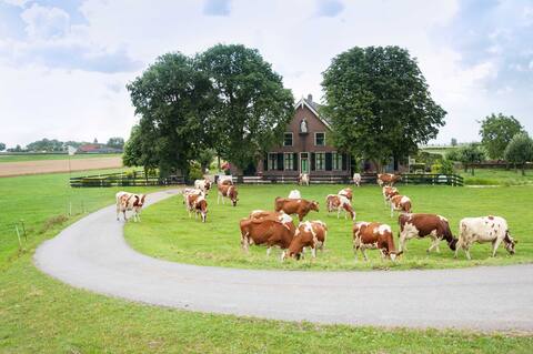Luxury old farmhouse near Amsterdam 4/5 persons