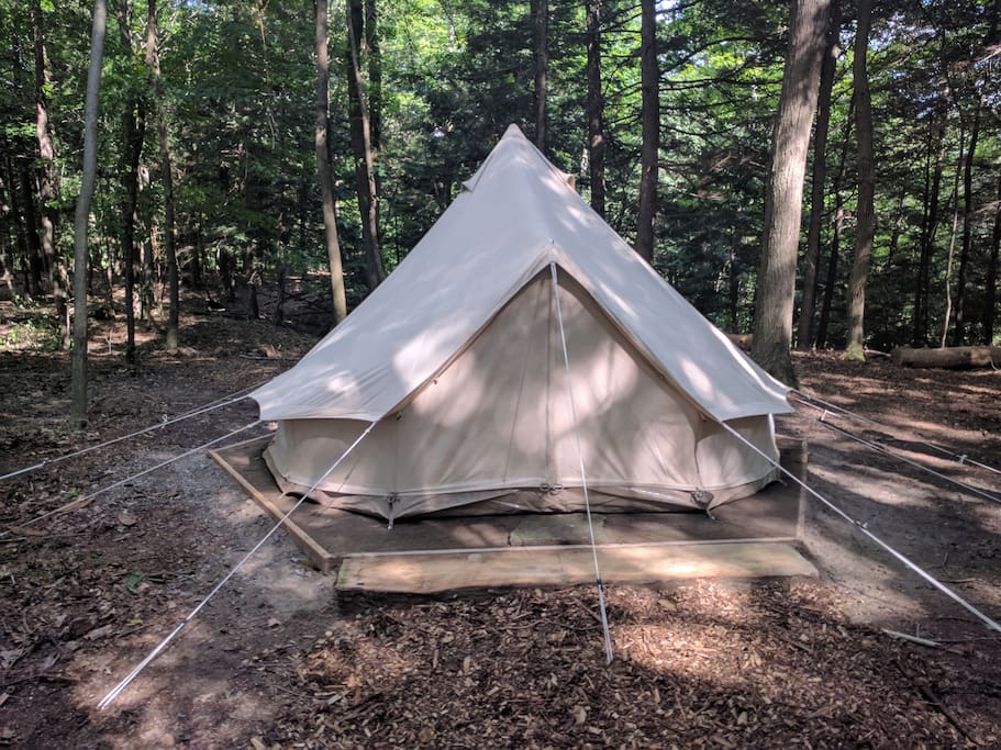 Beautiful woodsy setting
